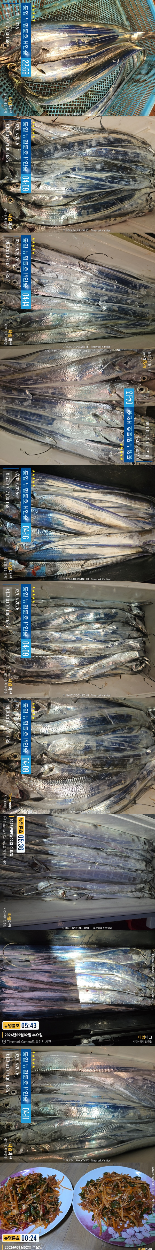 9-2갈치2.jpg