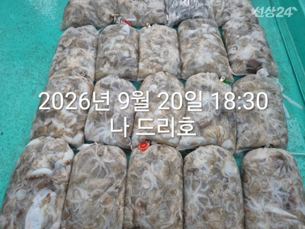 KakaoTalk_20260920_192144674_02.jpg