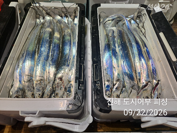 KakaoTalk_20260922_052858939_15.jpg