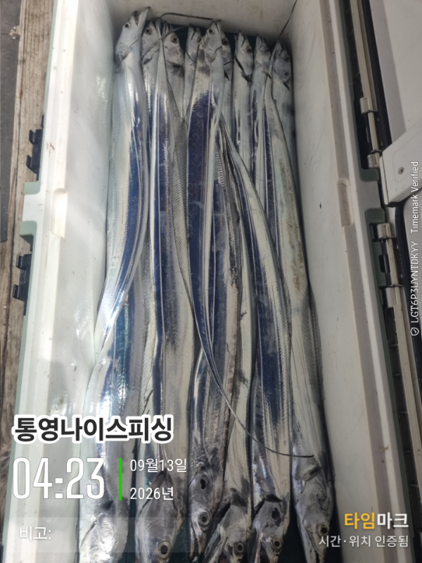2026-09-13 04.23.23__(통영나이스피싱)_(비고-).jpg
