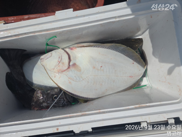 KakaoTalk_20260923_132658860_01.jpg