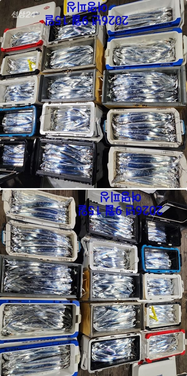 15일갈치하4.jpg
