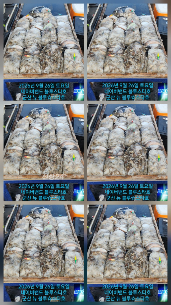 KakaoTalk_20260927_163941978_01.jpg