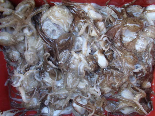 108.JPG