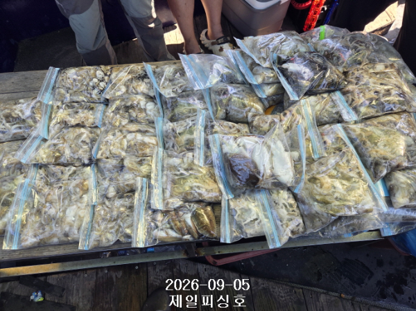[꾸미기]1788587939333.jpg