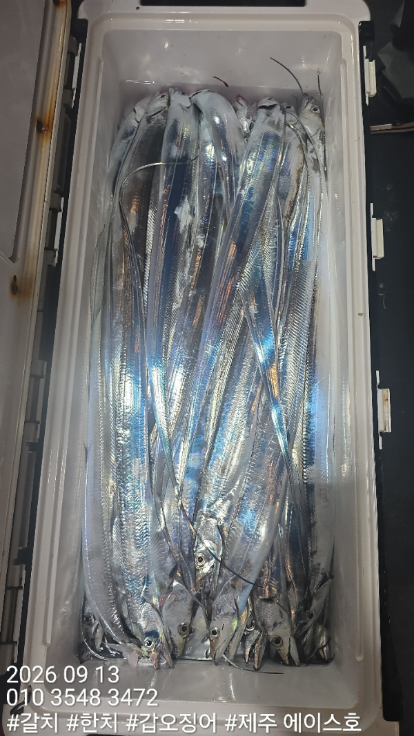 KakaoTalk_20260913_124313937_11.jpg