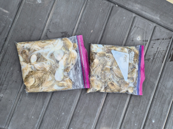 20260912_152841.jpg