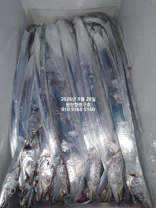 KakaoTalk_20260920_043734565_05.jpg
