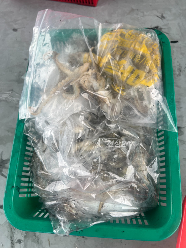 KakaoTalk_20260924_172314773_07.jpg