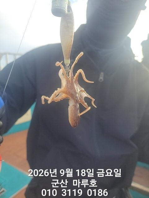 KakaoTalk_20260918_073943163.jpg