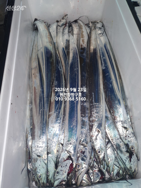 KakaoTalk_20260923_112349414_21.jpg