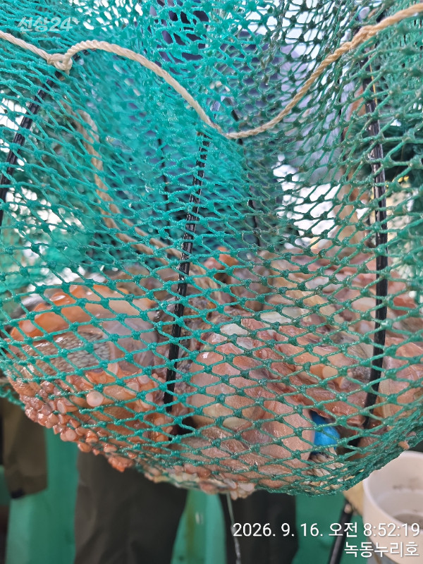 8588.jpg