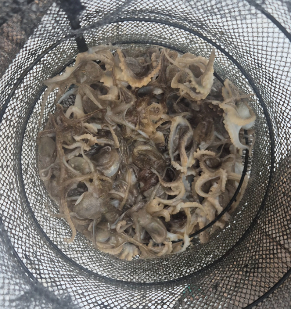 KakaoTalk_20260901_152837206_03.jpg
