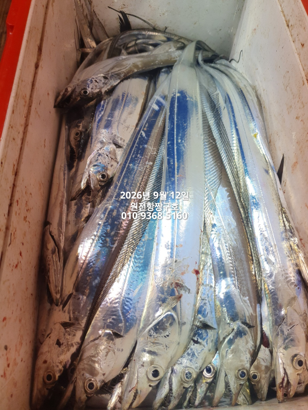 KakaoTalk_20260912_143057064_17.jpg