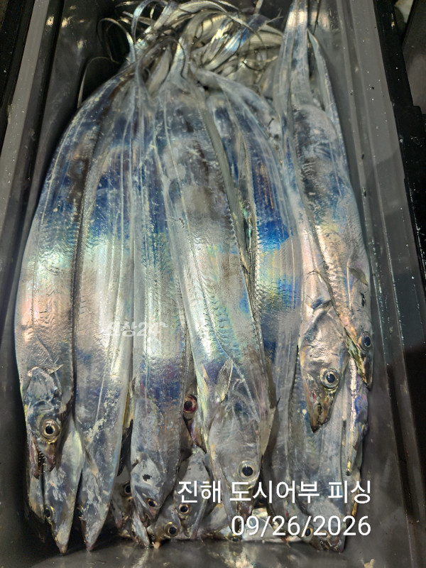 KakaoTalk_20260926_044028225_14.jpg