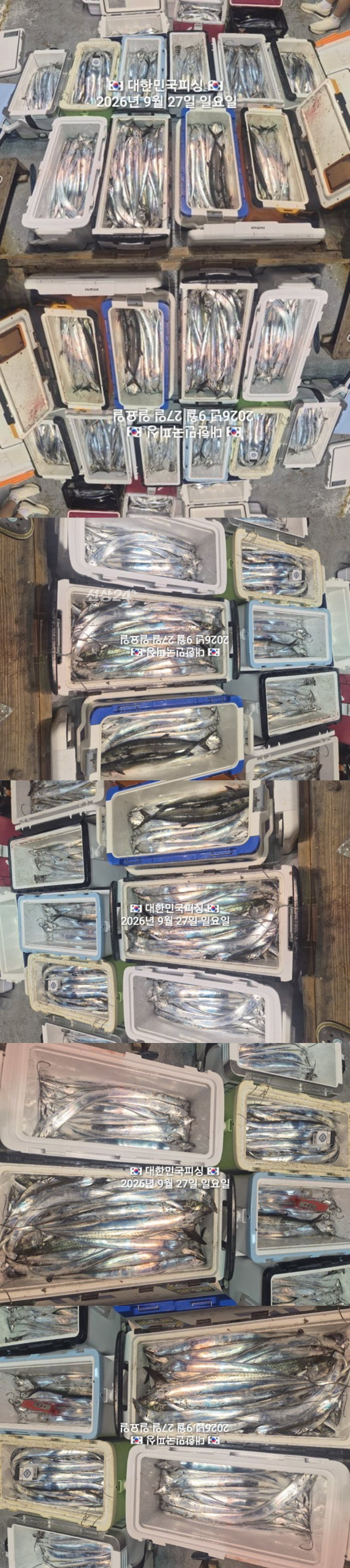 갈치2.jpg