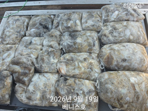 KakaoTalk_20260919_161129581_02.jpg