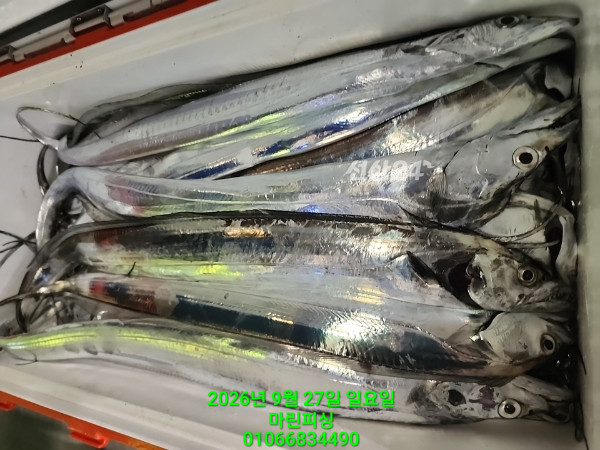 KakaoTalk_20260927_054116091_03.jpg