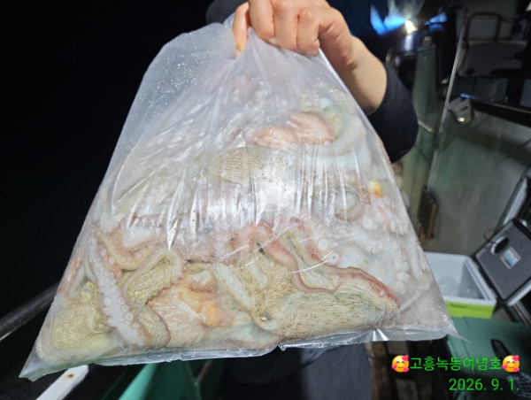 쎄븐피싱클럽(선상 버스출조전문)_사진_20260902_7.jpg