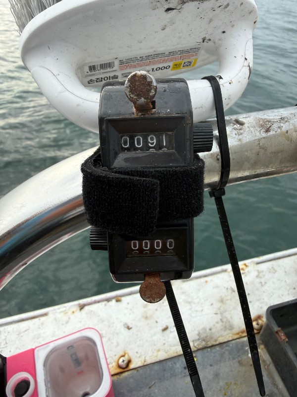 IMG_9816.jpeg