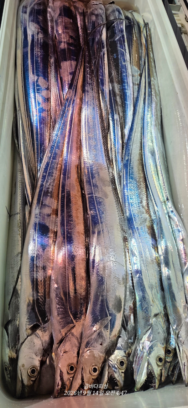 1000154453.jpg