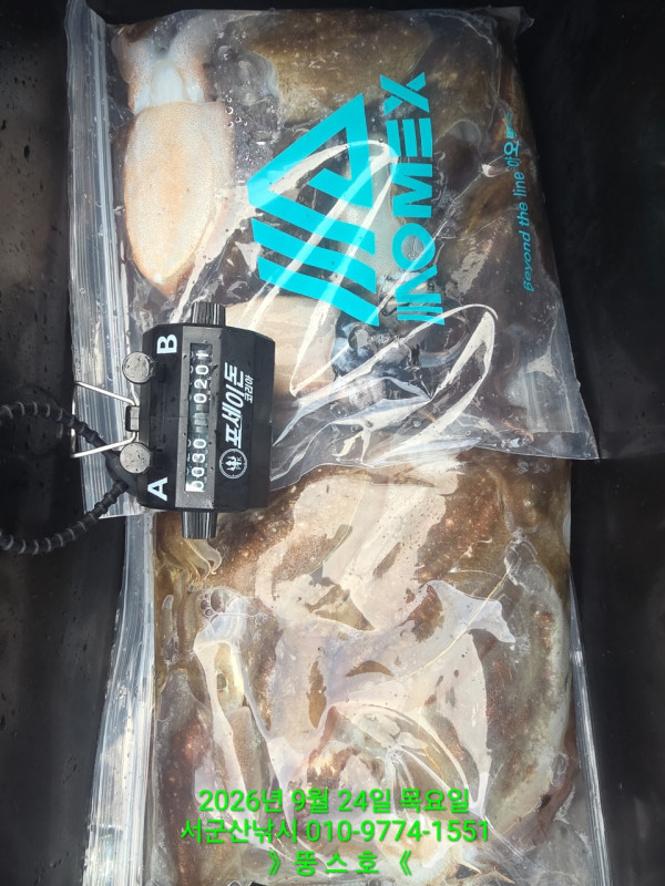 군산 선상낚시, 바다낚시 출조 전문 ☆서군산낚시☆_사진_20260924_4.jpg