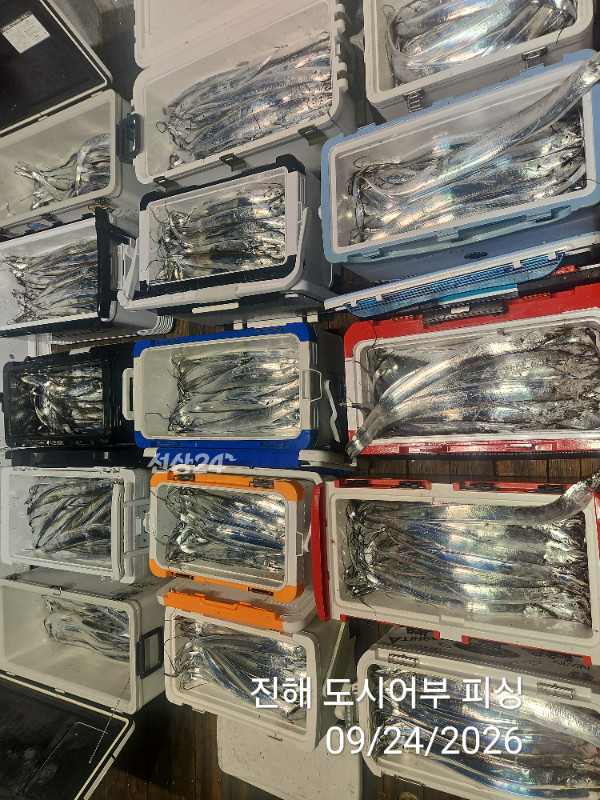 KakaoTalk_20260924_050456578_08.jpg