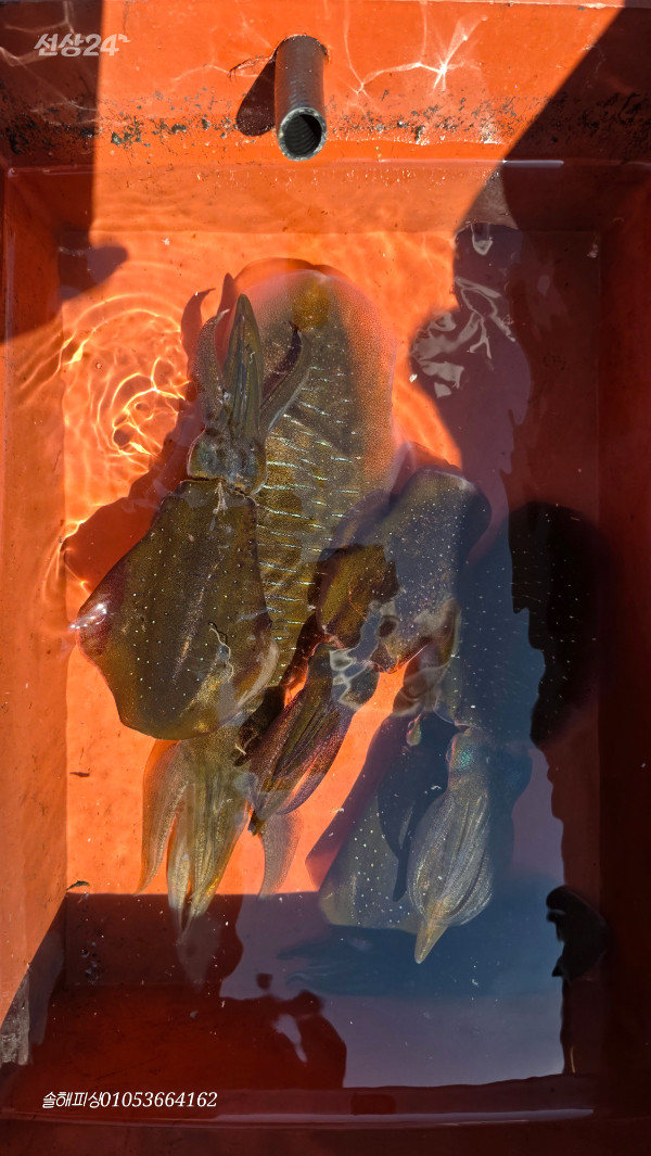 20260920_131829.jpg