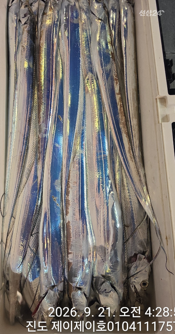 1000055376.jpg