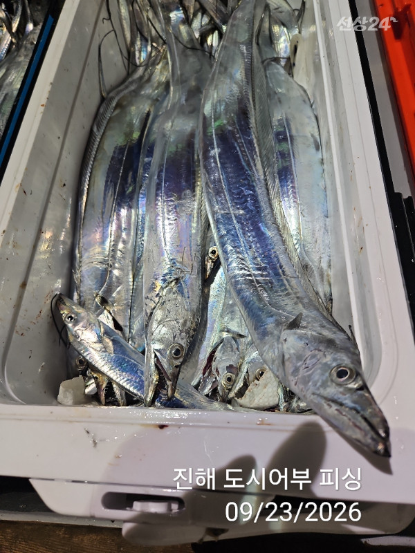 KakaoTalk_20260923_062051575_11.jpg