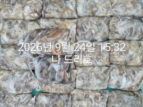KakaoTalk_20260924_161734361_04.jpg