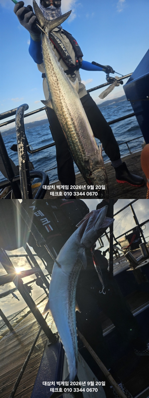 KakaoTalk_20260920_090643414_15-vert.jpg