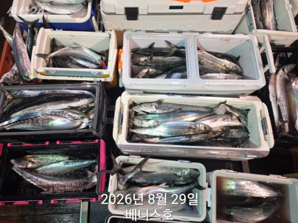 KakaoTalk_20260829_030617203_06.jpg