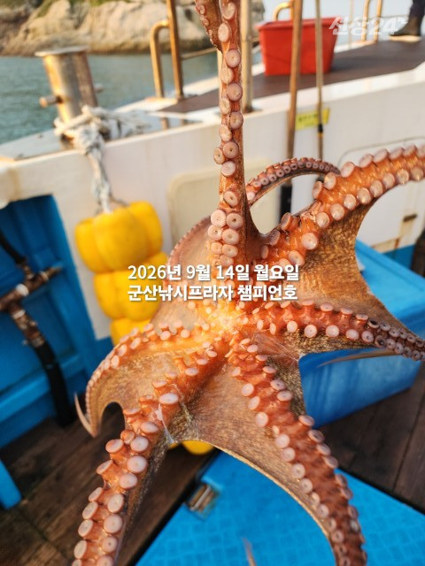 KakaoTalk_20260914_073812826_09.jpg