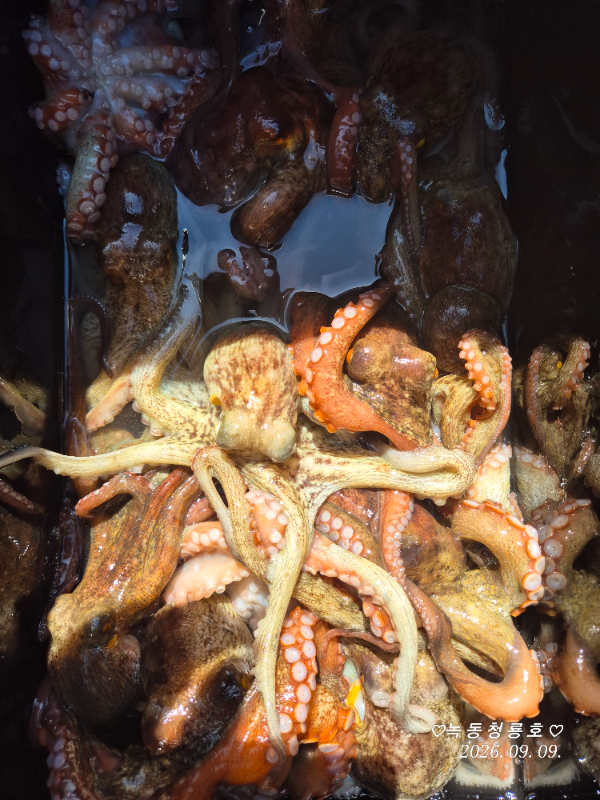 1000067088.jpg