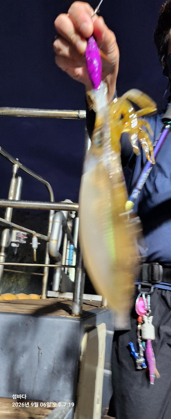 20260906_191955.jpg