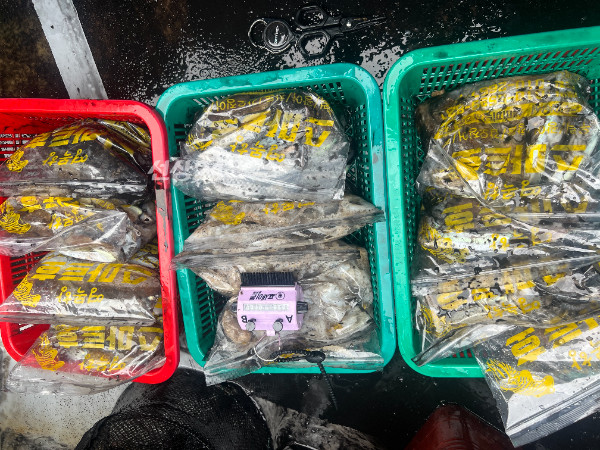 KakaoTalk_20260925_182829599_04.jpg
