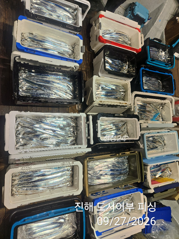 KakaoTalk_20260927_050422422_09.jpg