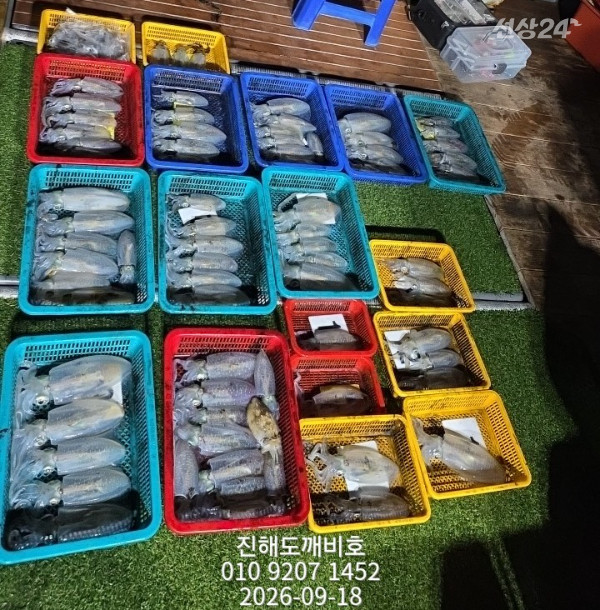 8152.jpg