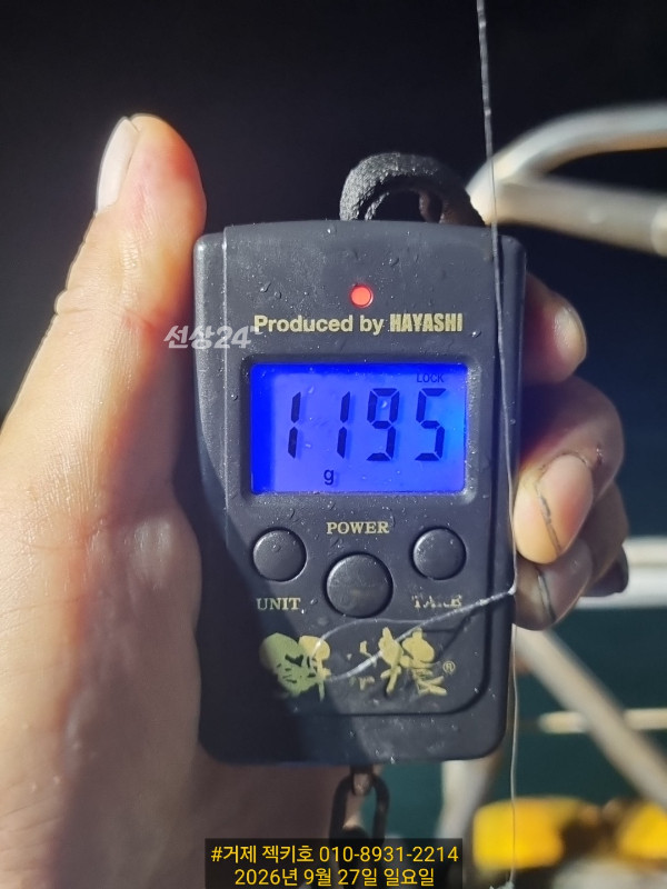 1000094790.jpg