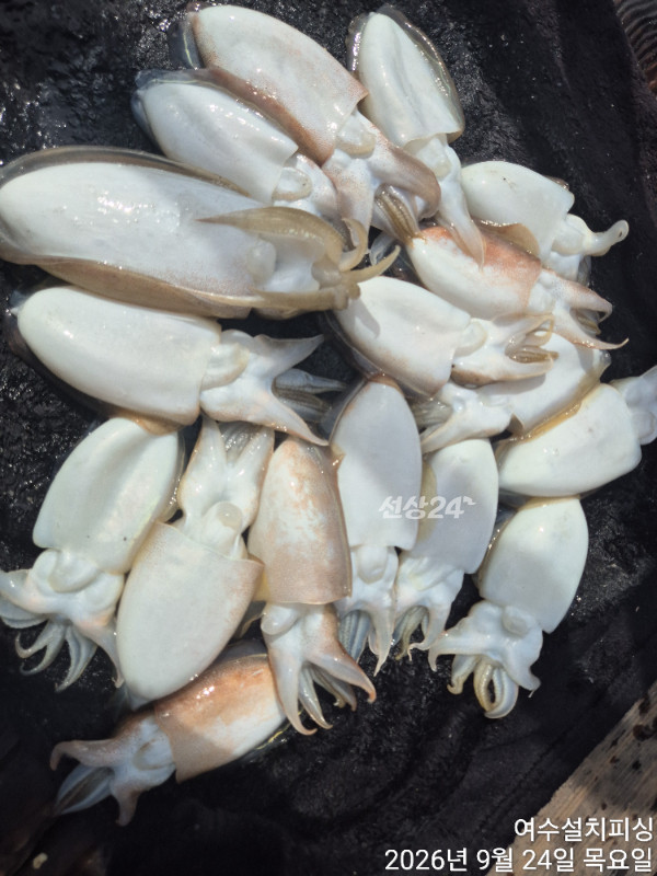TimePhoto_20260924_134035.jpg