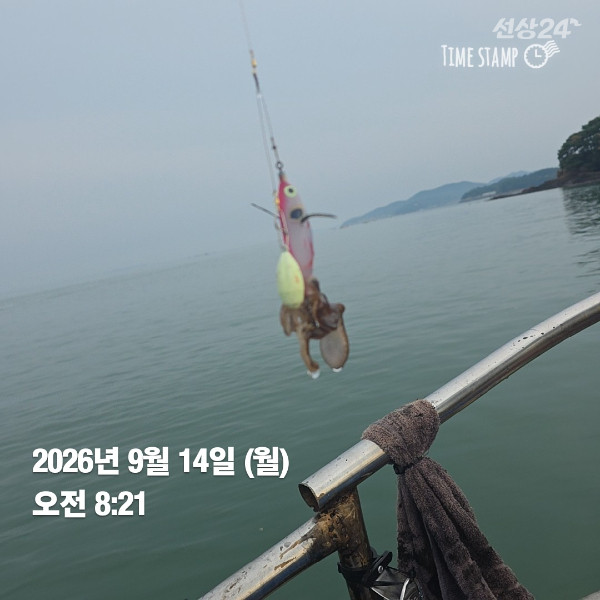 KakaoTalk_20260914_131921516_04.jpg