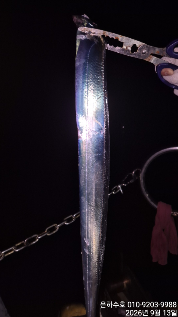 1000051341.jpg