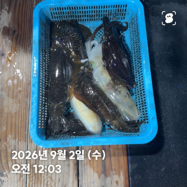 신신낚시 강구점 신신호_사진_20260902_9.jpg