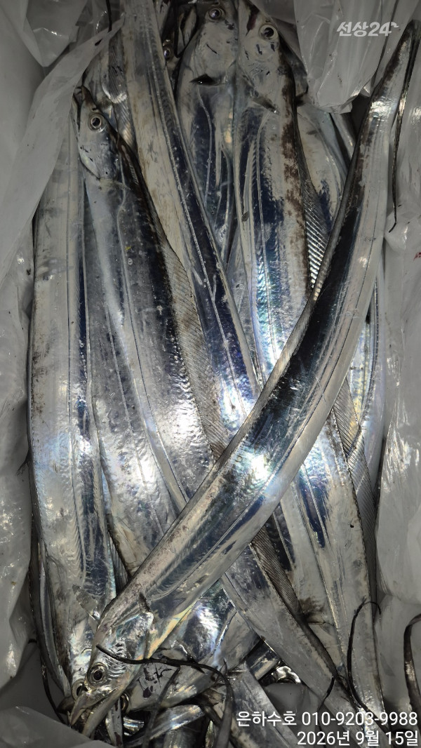 1000051415.jpg