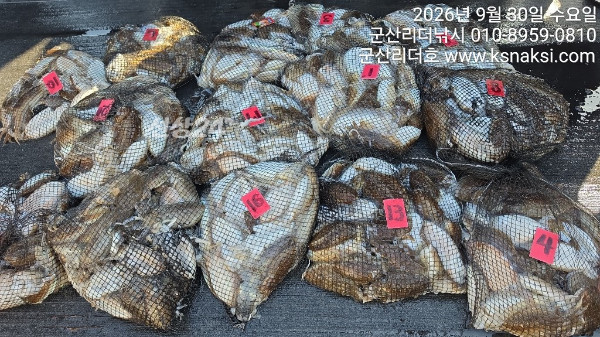 KakaoTalk_20260930_155842481_01.jpg