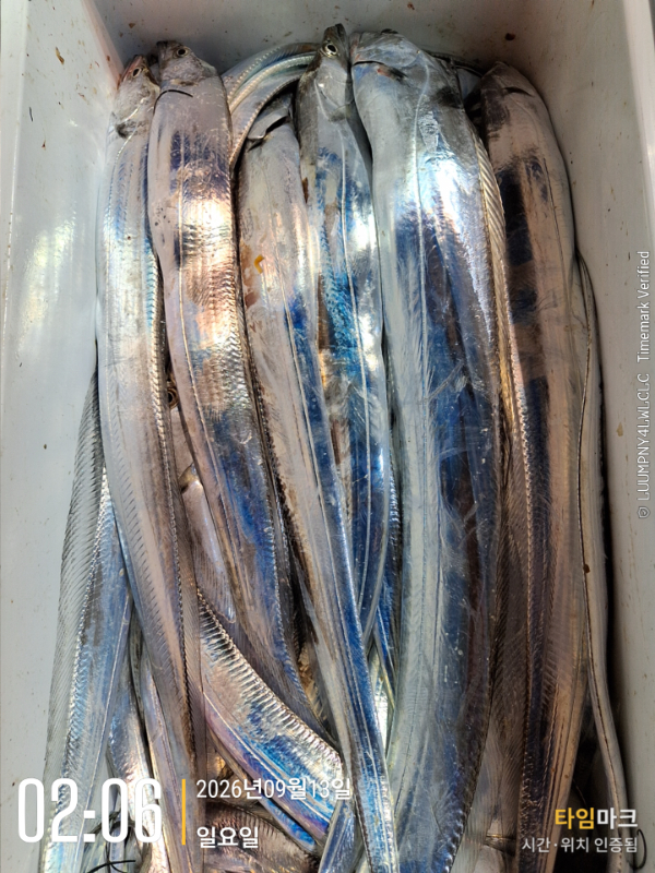 2026-09-13 02.06.37_.jpg
