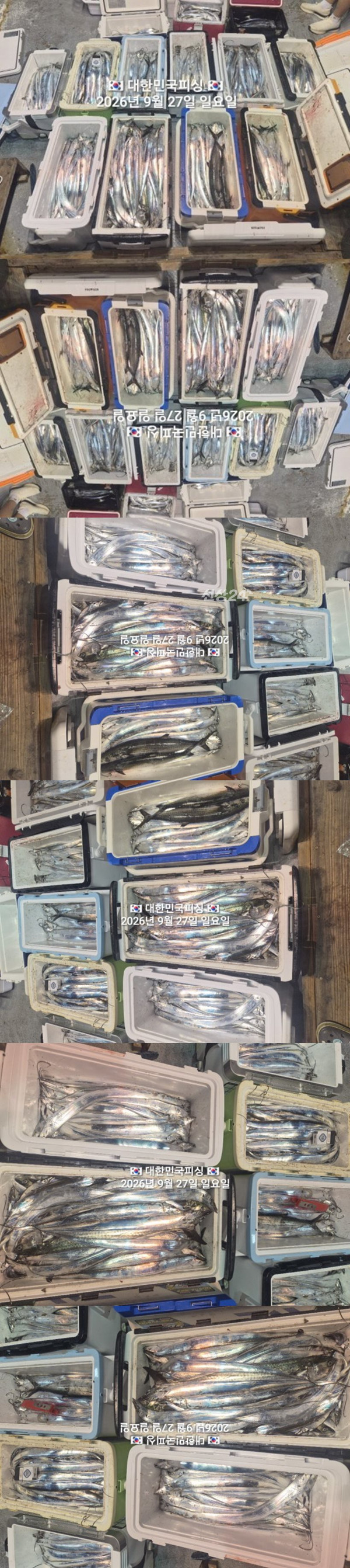 갈치2.jpg