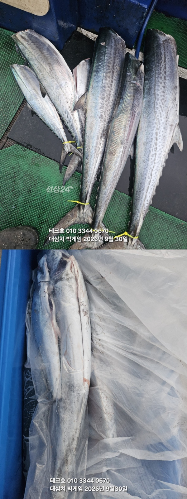 KakaoTalk_20260930_182358869_02-vert.jpg