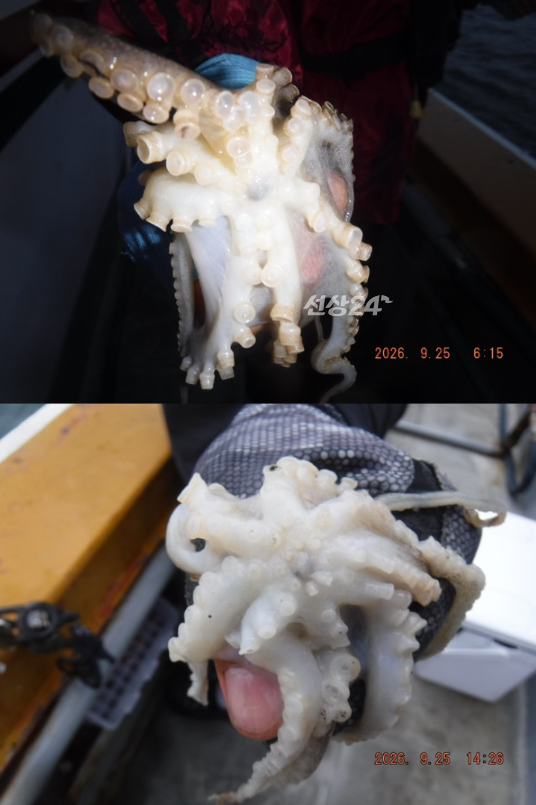 스크린샷 2026-09-26 105657.png